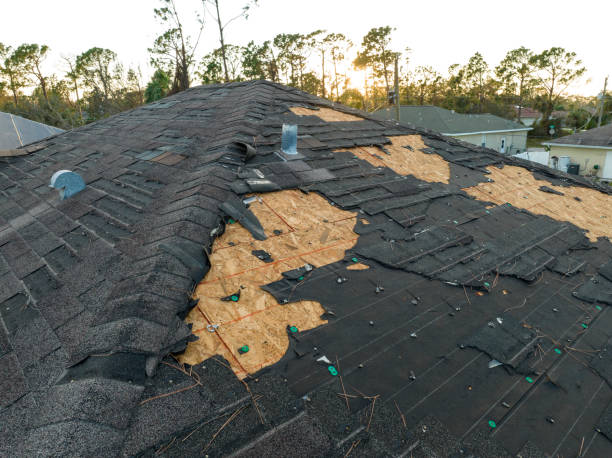 Best Chimney Flashing Repair  in Fredericksburg, VA